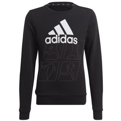 6. Bluza adidas Big Logo Swt Jr IC6117