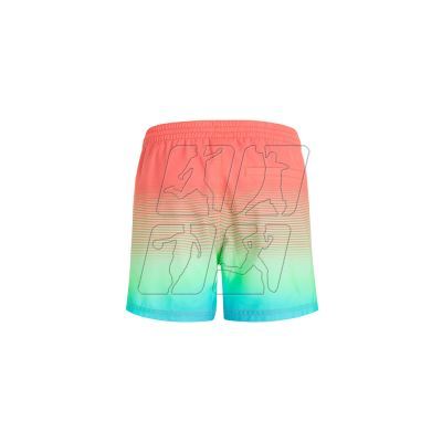 2. Szorty kąpielowe O'Neill Jack Cali Gradient 15'' Swim Shorts M 92800613575