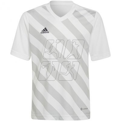 2. Koszulka adidas Entrada 22 Graphic Jersey Jr HF0120