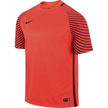 Koszulka bramkarska Nike Gardien M 725889-671