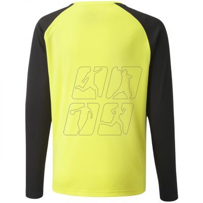 2. Bluza bramkarska Puma teamPacer GK LS Jersey Jr 704939 42